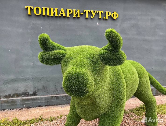 Топиари Топиарные фигуры Садовые фигуры