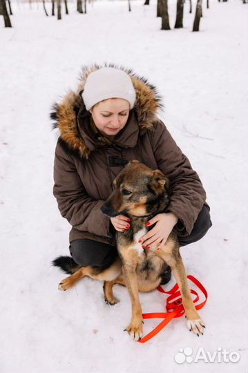 Прекрасный мальчик хочет домой