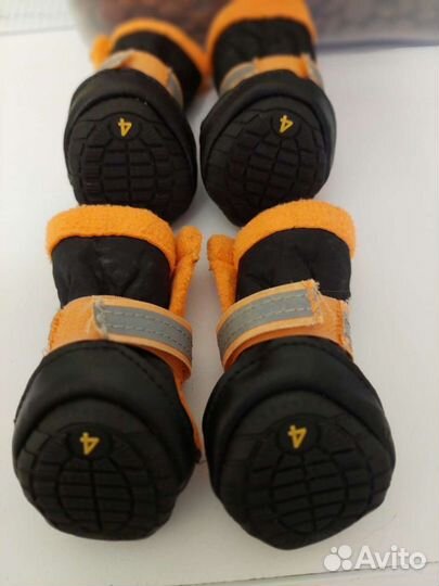 Обувь для собак