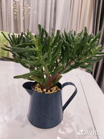 Цветочная композиция