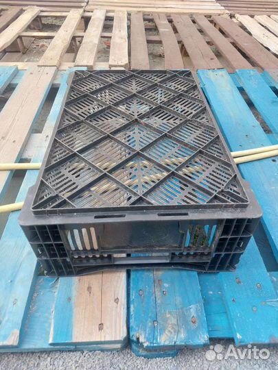 Ящик пластиковый