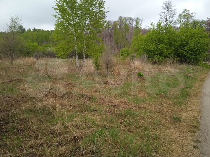 Участок 6 сот. (СНТ, ДНП)