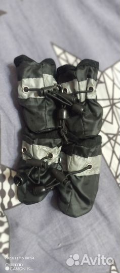 Носки для собак