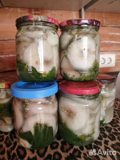 Грибы грузди