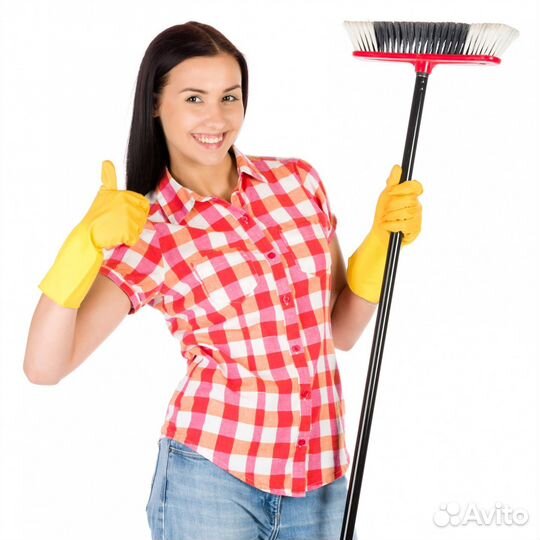 Мастер чистоты