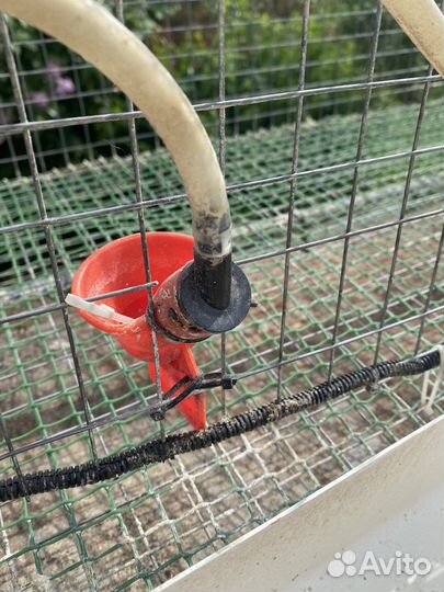 Клетки для перепелов на 120 голов