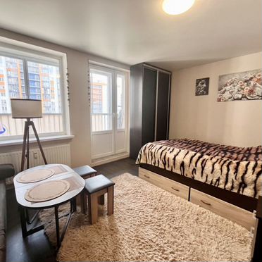 Квартира-студия, 24,3 м², 8/13 эт.