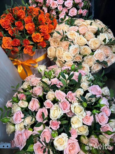 Доставка цветов / Цветы / Гортензии