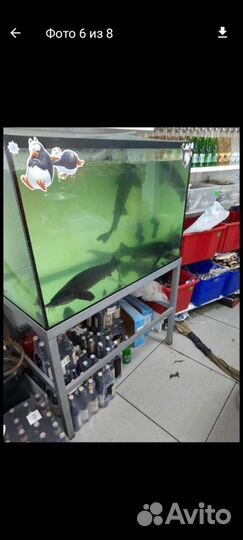 Аквариум