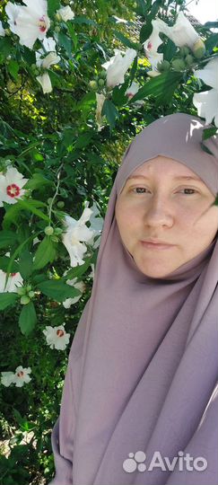 Уборка квартир и мойка окон