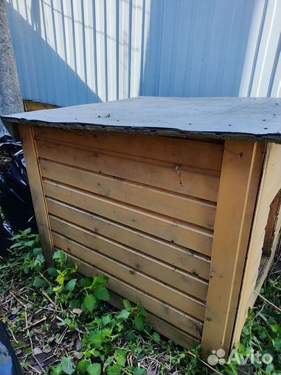 Собачья будка