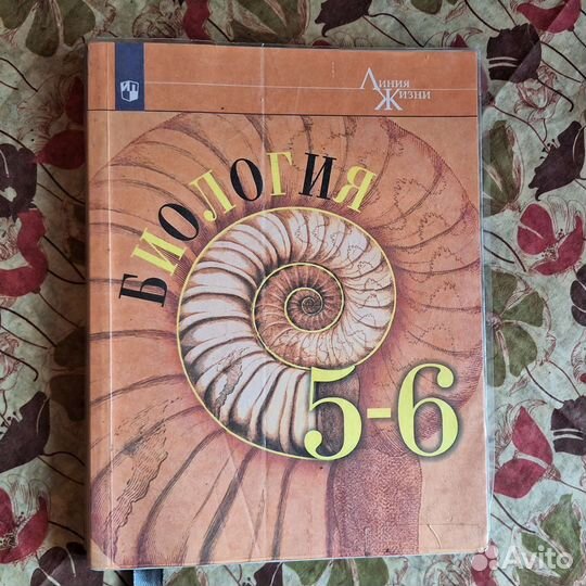 Учебники 5-7 класс