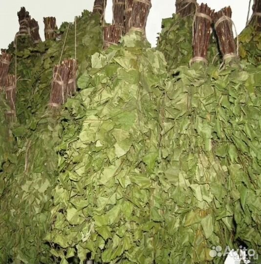 Банные веники продажа оптом