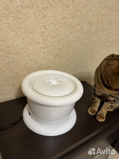 Питьевой фонтан для животных