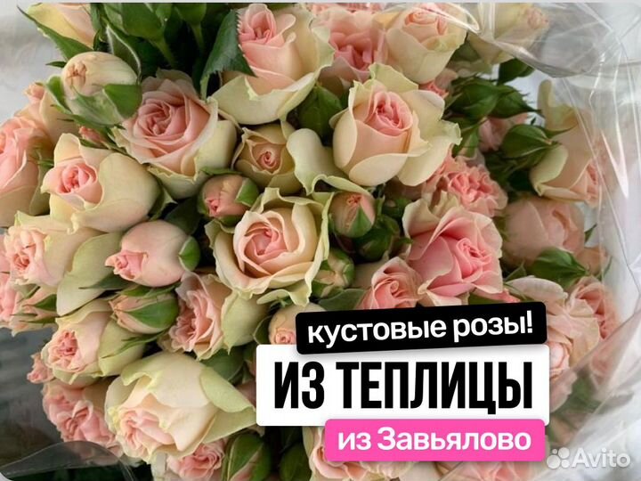 Flirting Bubbles розы кустовые для букета
