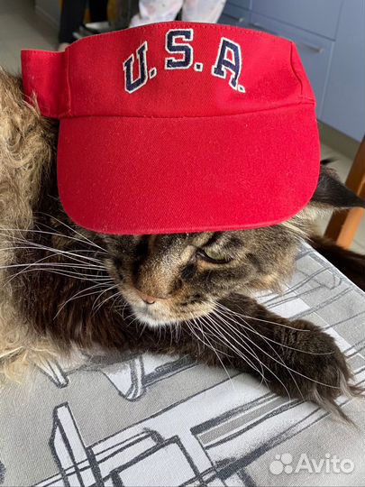 Козырек ralph lauren