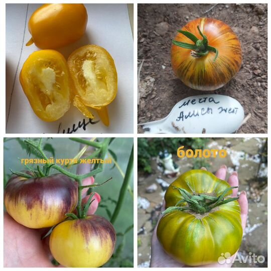 Наборы семян томатов