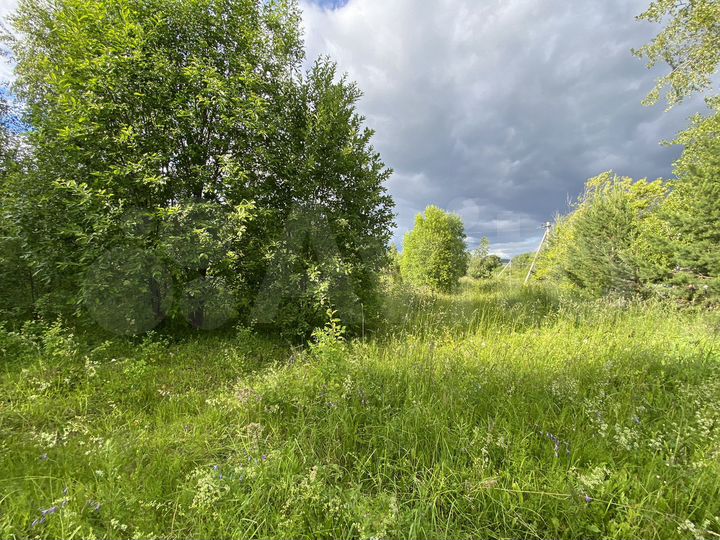 Участок 22 сот. (ИЖС)