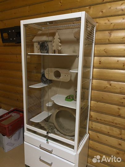 Продаю шиншилл