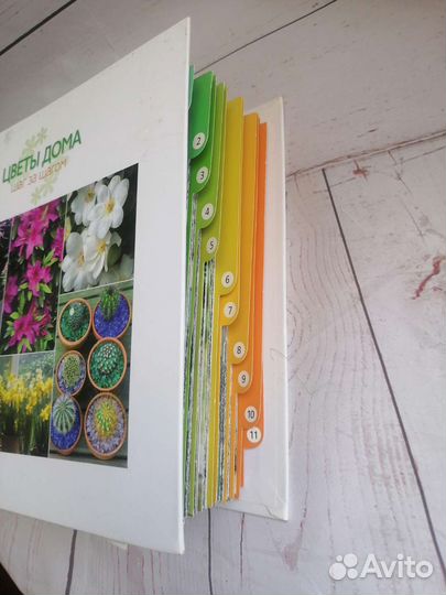 Энциклопедия Цветы дома шаг за шагом