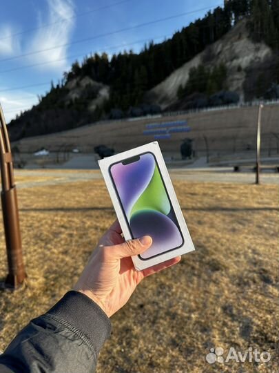 iPhone 14, 256 ГБ