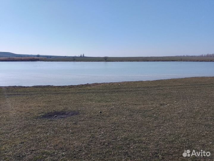 Платная рыбалка