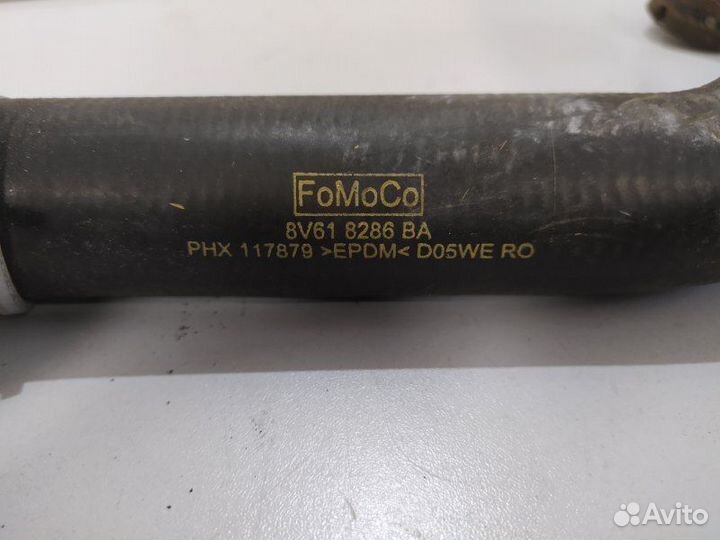 Патрубок радиатора нижний Ford Focus 3