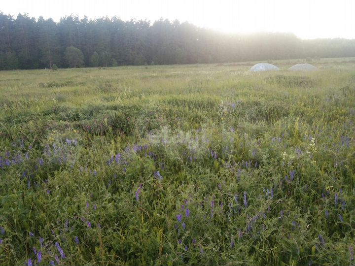 Участок 20 сот. (ИЖС)