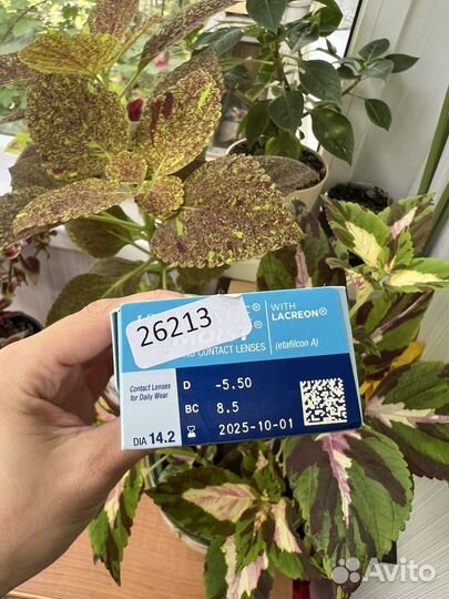 Контактные линзы 1-Day Acuvue Moist -5,5