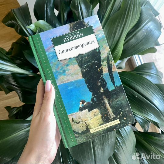 Стихотворения А. Пушкина
