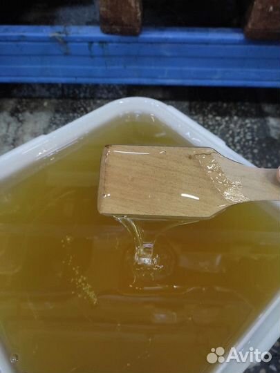 Свежий мёд липа Качка 2023 год Опт