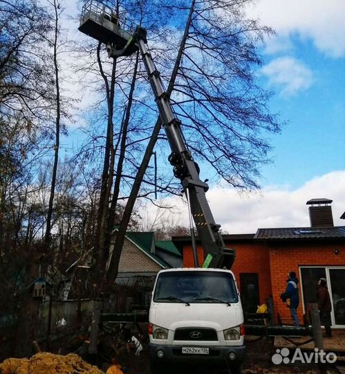 Спил деревьев с автовышки, Услуги автовышки