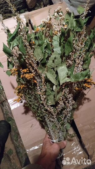 Сборные веники из трав и березы