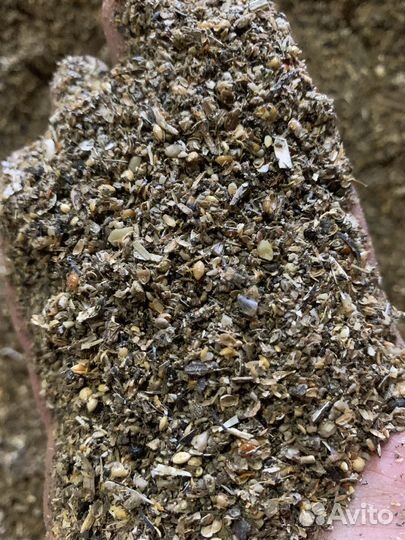 Зерно отходы