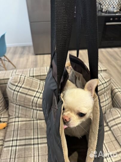 Сумка переноска для мелких собак и кошек