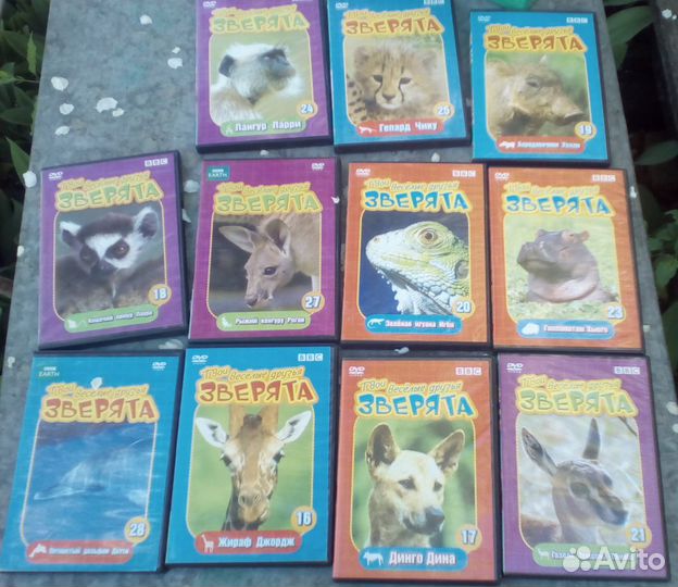 DVD-диски Твои весёлые друзья зверята 11 шт
