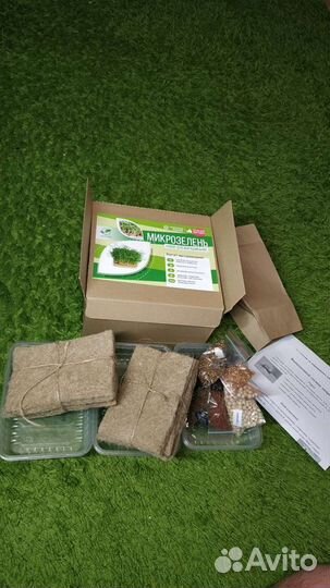 Набор для выращивания микрозелени
