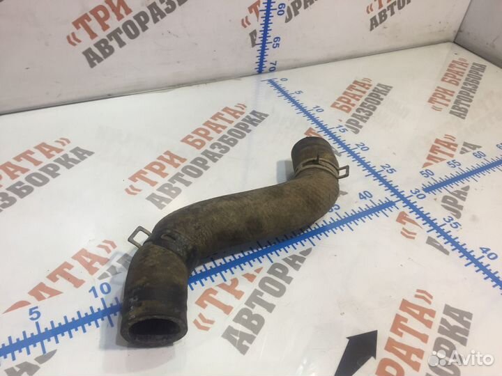 Пежо 307 Патрубок радиатора нижний