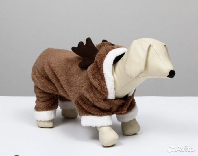 Костюм для животных