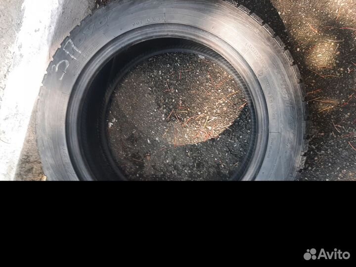 Toyo Winter Tranpath MS 205/55 R16 94