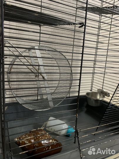 Клетка для грызунов большая