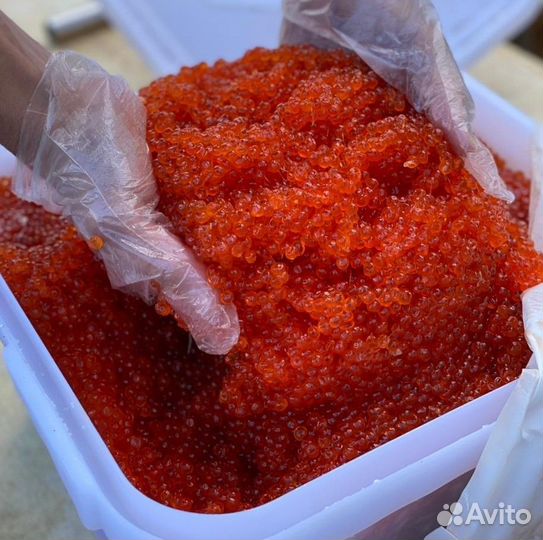 Красная икра 2023