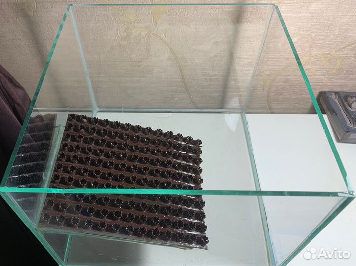 Аквариум для черепах