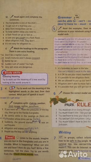 Учебник по английскому языку 6 класс