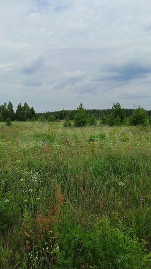 Участок 15 сот. (ИЖС)