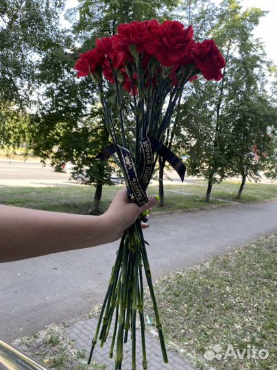 Гвоздика красная опт