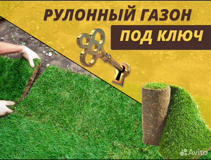 Рулонный газон Элитный под ключ