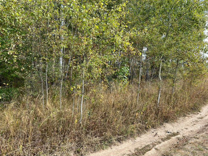 Участок 7,7 сот. (ИЖС)