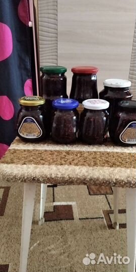 Черная бузина