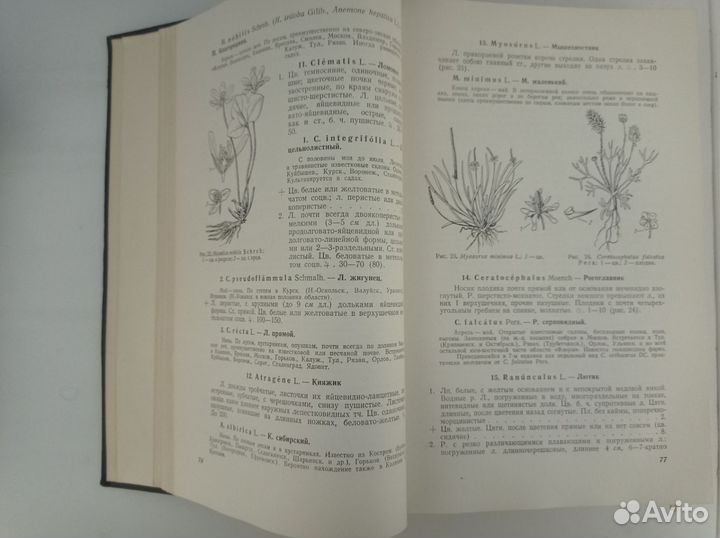 Книга Флора Средней Полосы Европейской части СССР